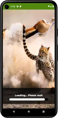 Animal Documentary android App screenshot 2