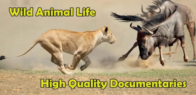 Animal Documentary android App screenshot 3